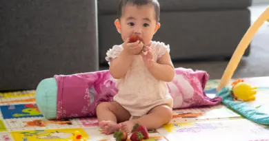 Introdução Alimentar para bebê de 6 meses